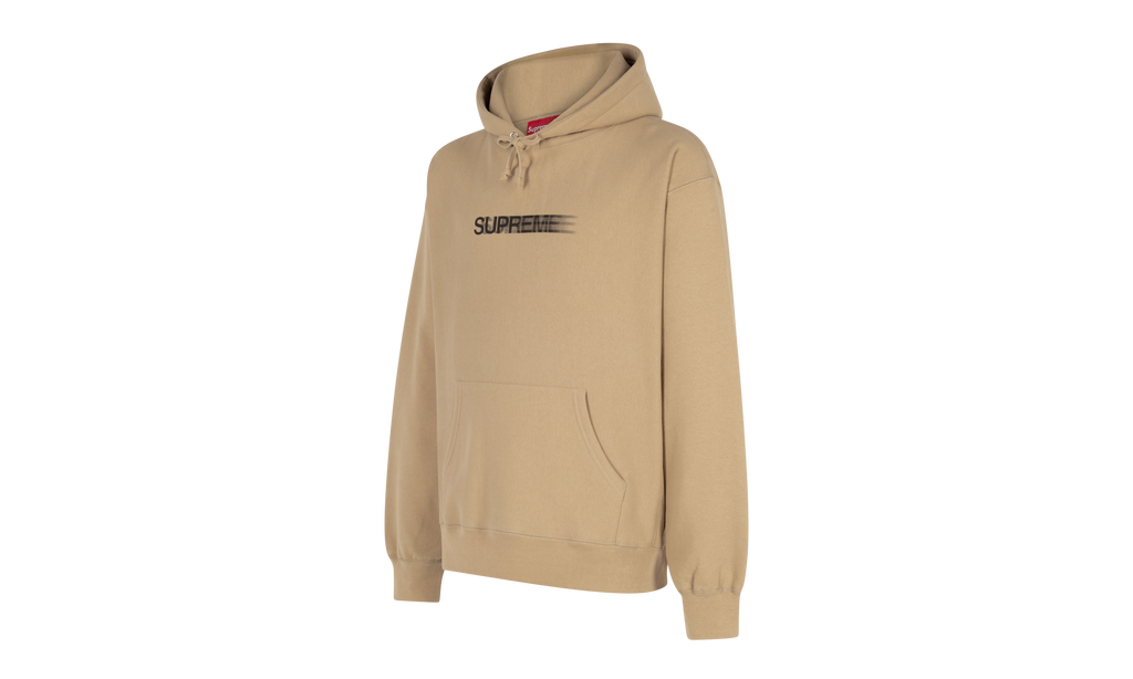 Motion Logo Hooded Sweatshirt "SS23" SU508